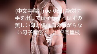 (中文字幕) [roe-089] 絶対に手を出してはイケナイはずの美しい母と僕は血の繋がらない母子関係で…。 平岡里枝子