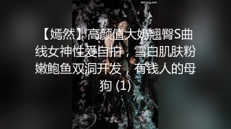 【嫣然】高颜值大奶翘臀S曲线女神性爱自拍，雪白肌肤粉嫩鲍鱼双洞开发，有钱人的母狗 (1)