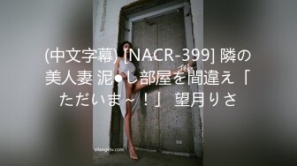 (中文字幕) [NACR-399] 隣の美人妻 泥●し部屋を間違え「ただいま～！」 望月りさ