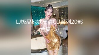 LJ极品地铁高清CD系列20部合集 (3)