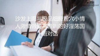 沙发上面与极品细腰粉穴小情人激情做爱声音叫的好淫荡国语对话