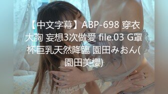 【中文字幕】ABP-698 穿衣大胸 妄想3次做愛 file.03 G罩杯巨乳天然降臨 園田みおん(園田美櫻)