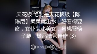 天花板 绝对是天花板级【陈陈尼】柔柔就出水，好看得要命，女仆装小美女，蜜桃臀筷子腿，极品撸管佳作 (3)