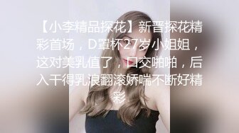 【小李精品探花】新晋探花精彩首场，D罩杯27岁小姐姐，这对美乳值了，口交啪啪，后入干得乳浪翻滚娇喘不断好精彩