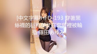 [中文字幕]HFD-193 穿著黑絲襪的巨乳美女在套房裡被輪插 篠田あゆみ