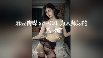 麻豆传媒 szl-001 为人师婊的上海教师