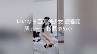 いいなり巨乳美少女 密室変態デート 杉原ゆめか