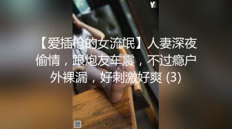 【爱插枪的女流氓】人妻深夜偷情，跟炮友车震，不过瘾户外裸漏，好刺激好爽 (3)