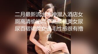 二月最新流出大神潜入酒店女厕高清偷拍两个高颜值美女尿尿百褶裙美女逼毛性感很有撸点