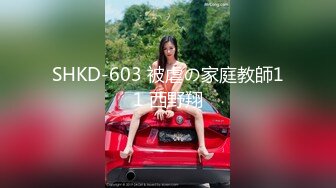 SHKD-603 被虐の家庭教師11 西野翔