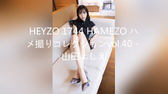 HEYZO 1744 HAMEZO ハメ撮りコレクションvol.40 - 山田よしえ