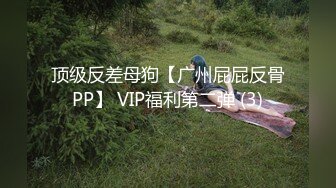 顶级反差母狗【广州屁屁反骨PP】 VIP福利第二弹 (3)